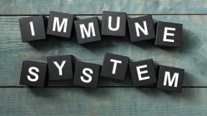 Alphabet blocks spelling out immune system
